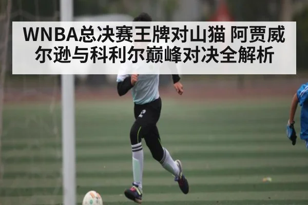 WNBA总决赛王牌对山猫 阿贾威尔逊与科利尔巅峰对决全解析 - NG28
